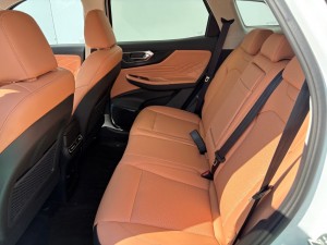 BAIC Motor X7 