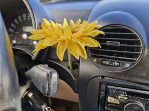 Volkswagen New Beetle 